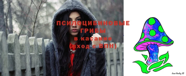 бошки Алексеевка