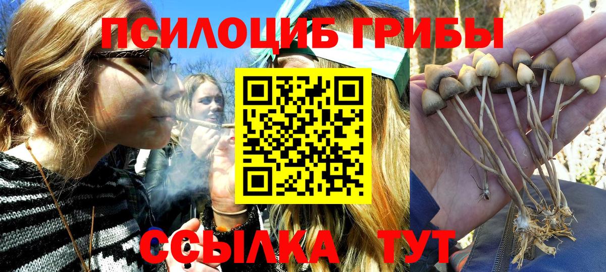 Белореченск  Галлюциногенные грибы Psilocybe  Вход с VPN 